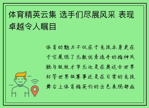 体育精英云集 选手们尽展风采 表现卓越令人瞩目
