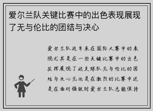 爱尔兰队关键比赛中的出色表现展现了无与伦比的团结与决心