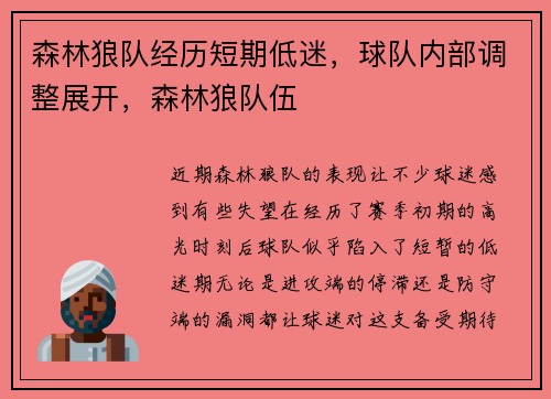 森林狼队经历短期低迷，球队内部调整展开，森林狼队伍